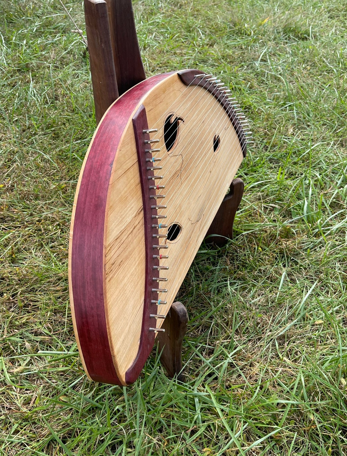 A handcrafted wooden stringed instrument with a curved natural wood body, dark reddish-brown sides, and metal strings, displayed on a small wooden stand in an outdoor grassy setting.